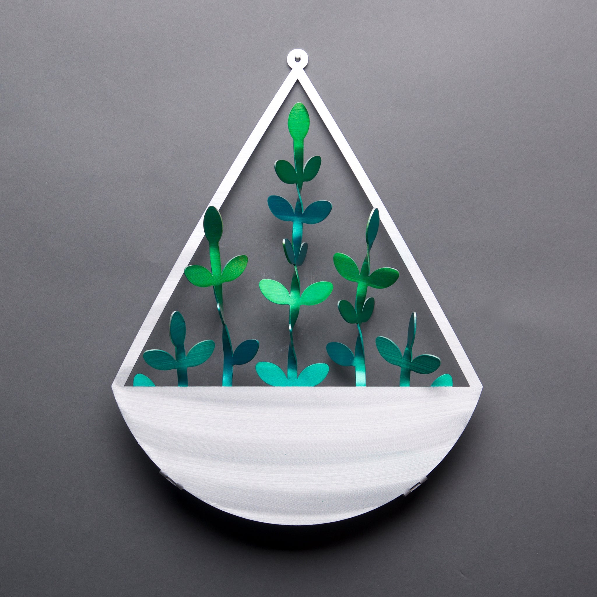 triangle shaped succulent Hanging Succulent Plant – Sondra Gerber